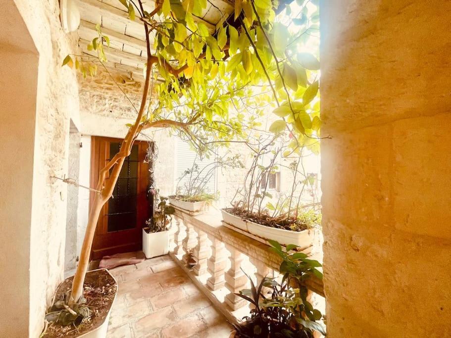 Apartamento Evasion Urbaine**** Nimes Exterior foto